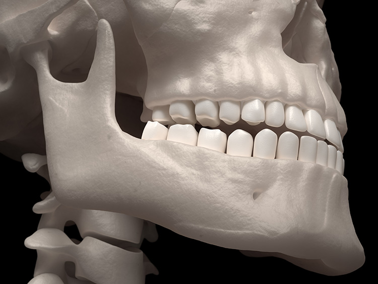 奥歯のインプラントの治療について