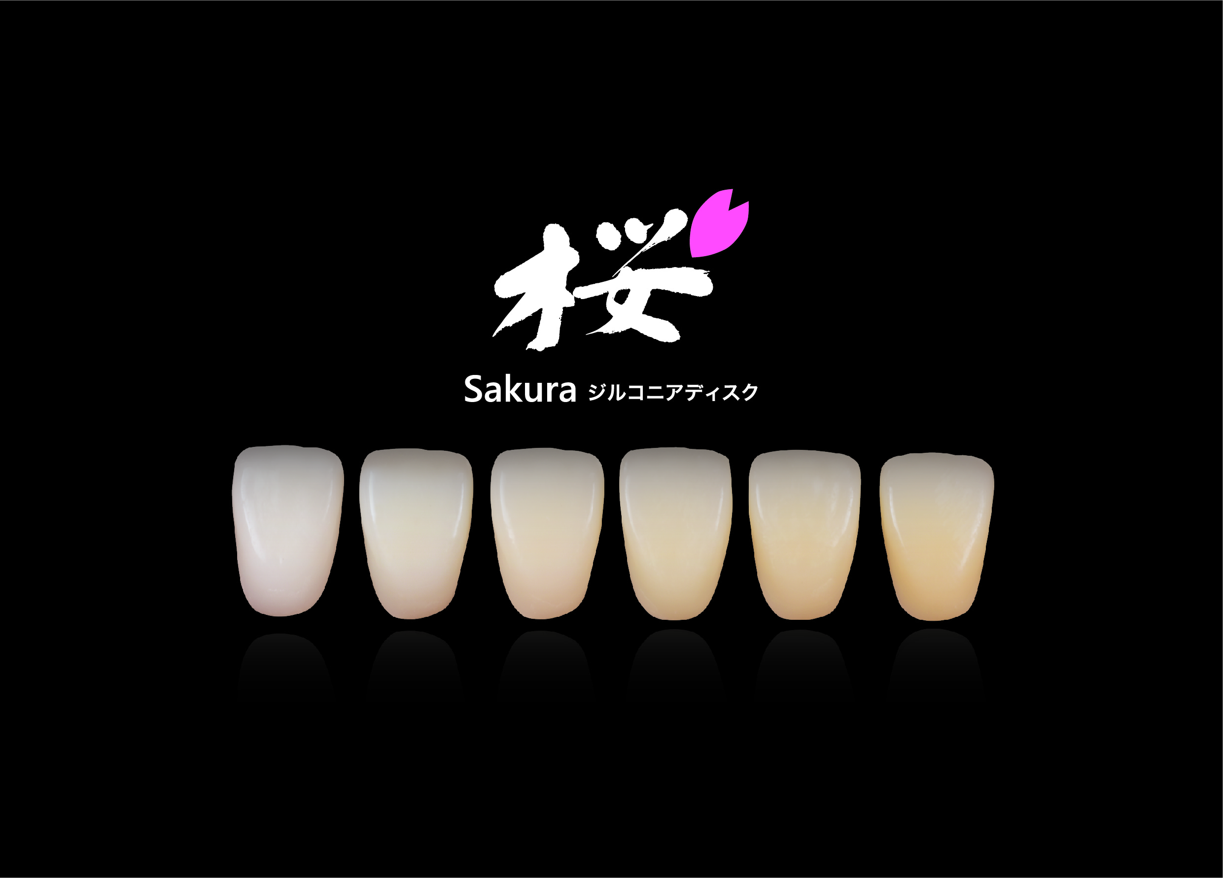 Sakura_lineup